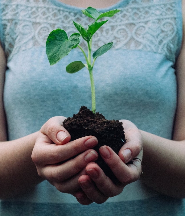 zero waste